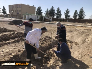 هفته درختکاری 2