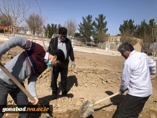 هفته درختکاری 6