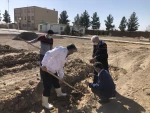 درختکاری 2