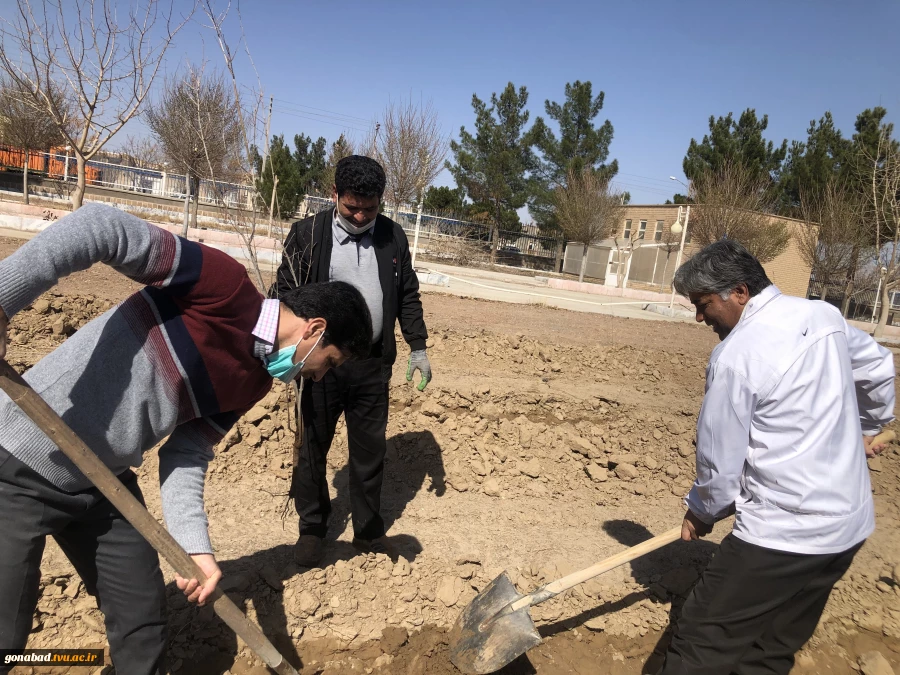 درختکاری 6