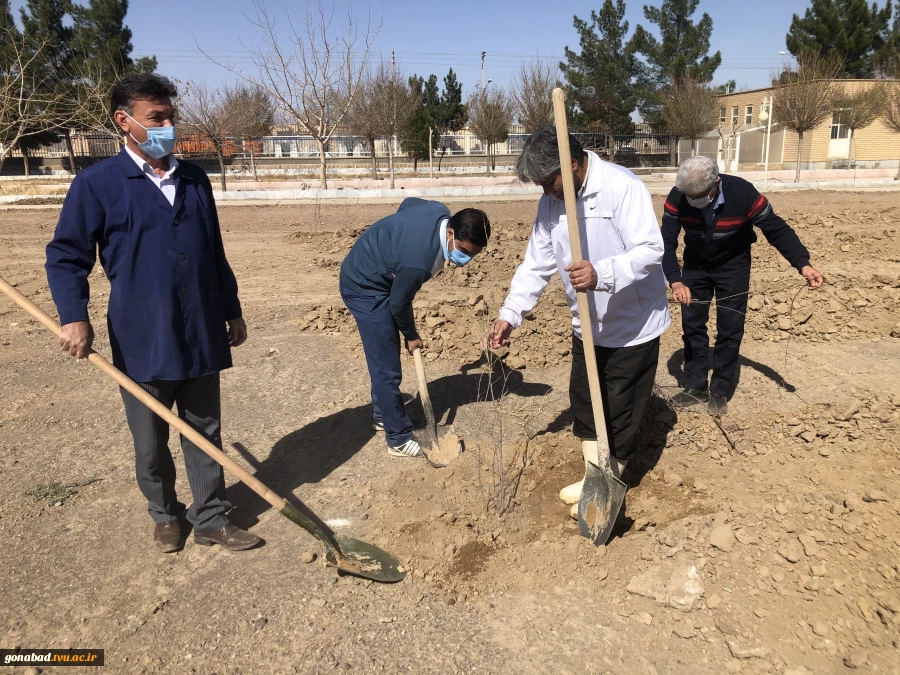 درختکاری 7