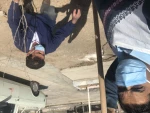 درختکاری 8