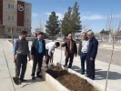 درختکاری 14