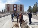 درختکاری 15