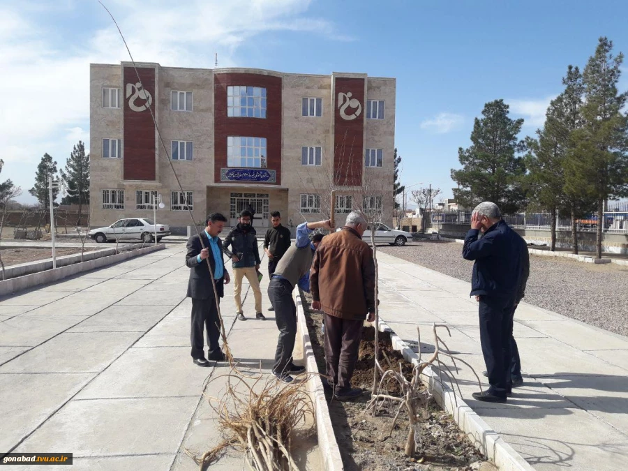 درختکاری 15