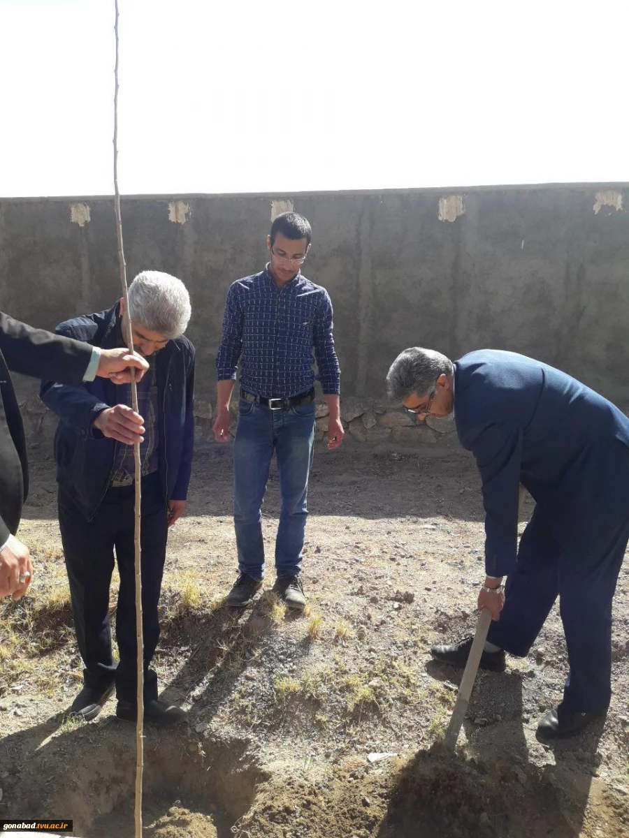 درختکاری 16